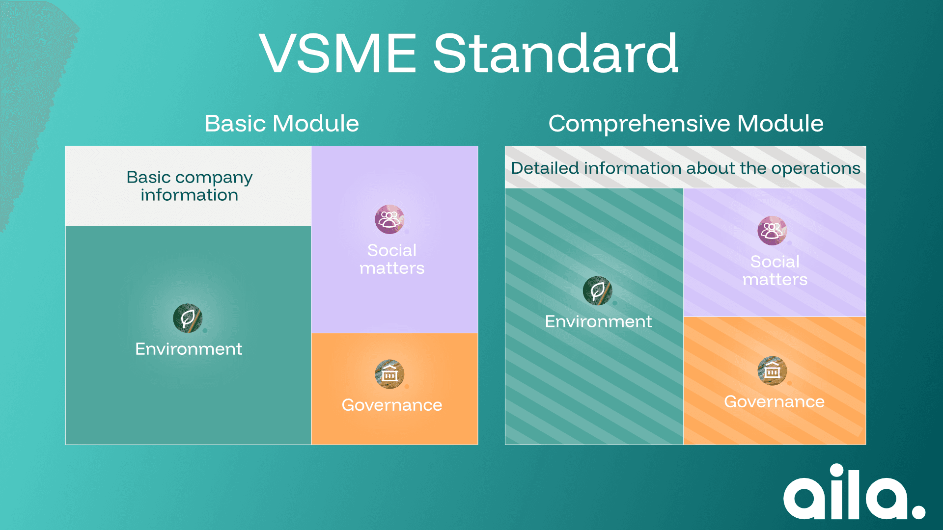 VSME standard's structure