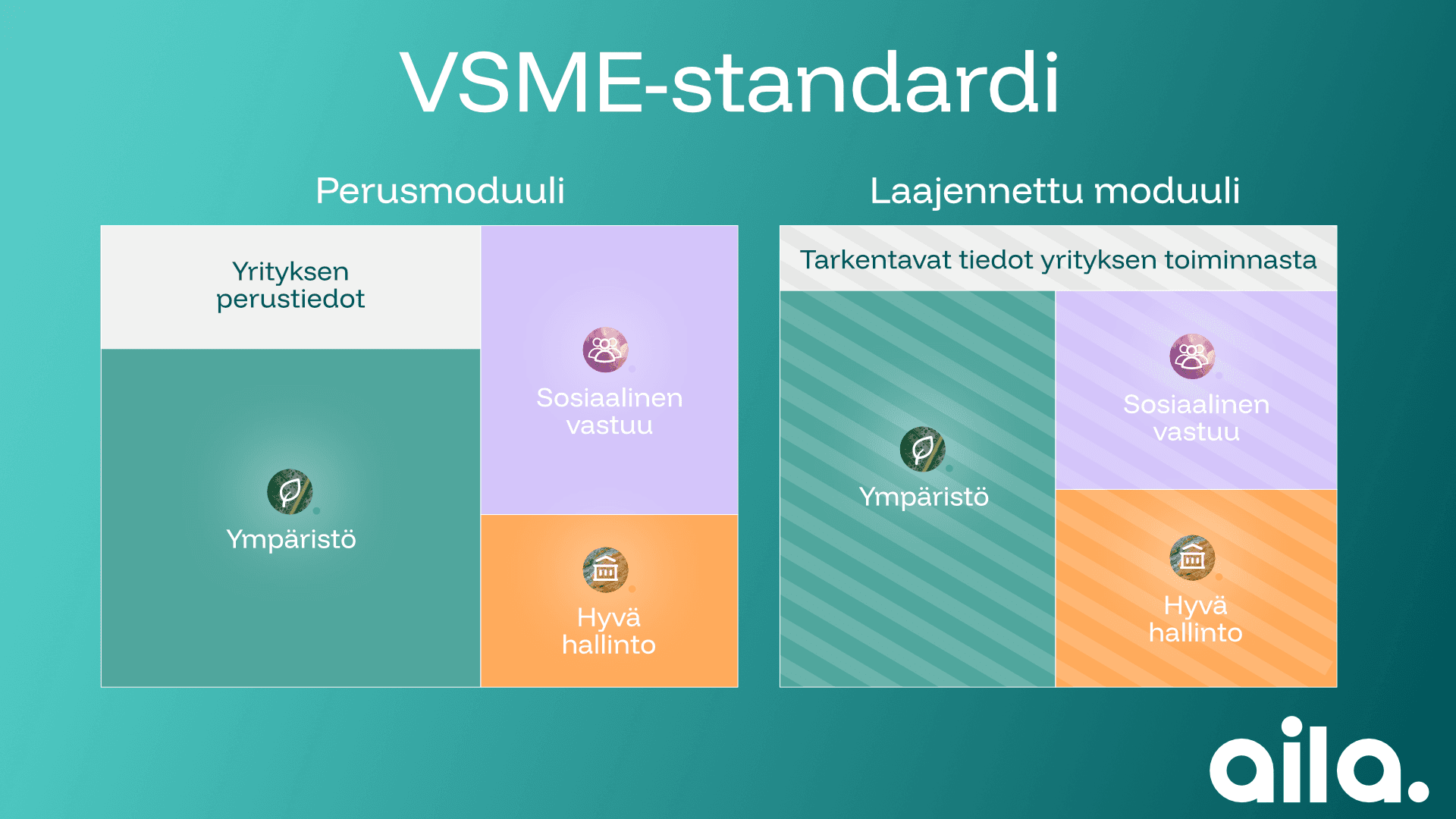 VSME standard's structure