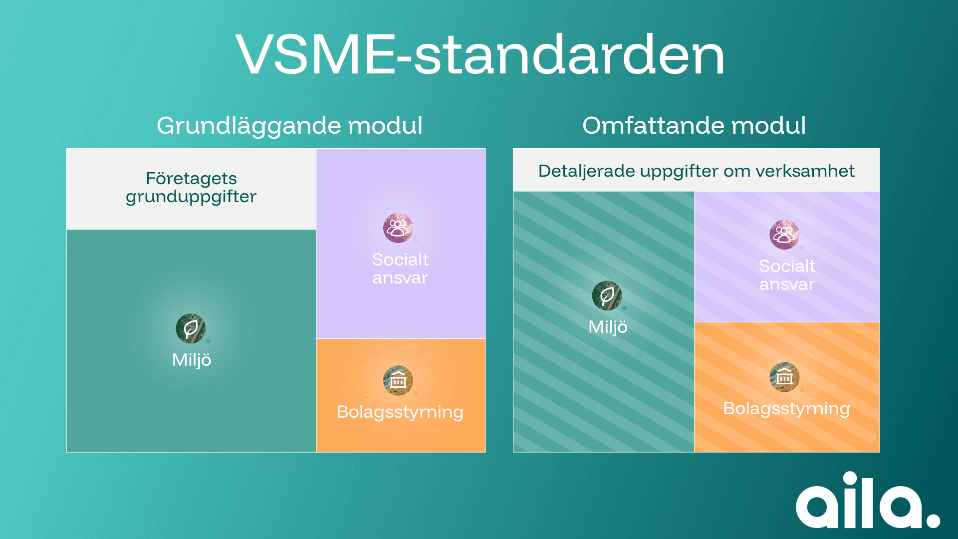 VSME standard's structure